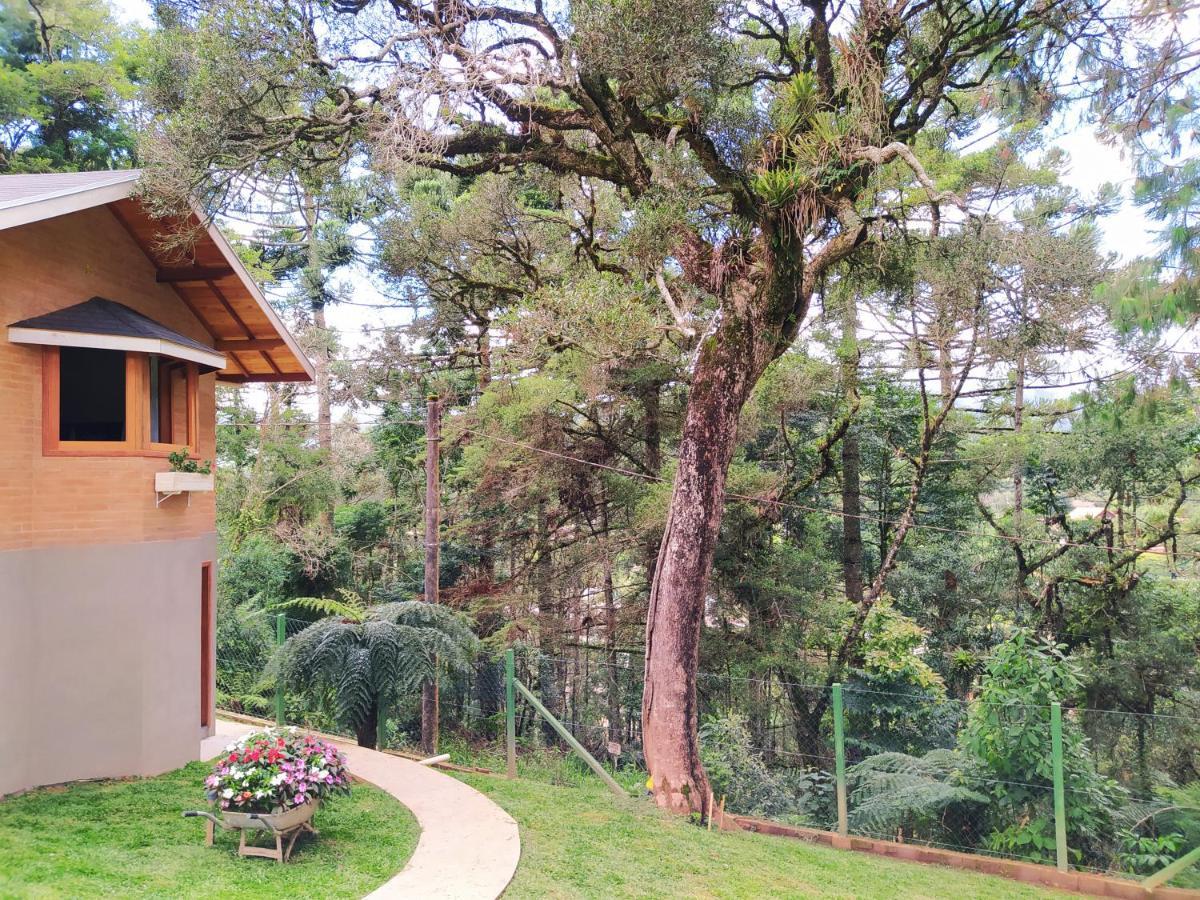Lodge Alto Dos Pinheiros *