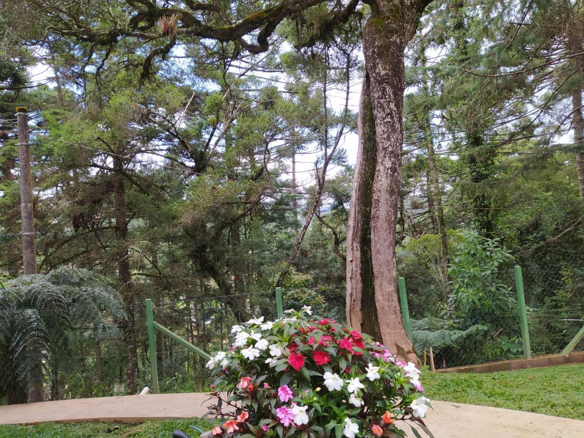 Lodge Alto Dos Pinheiros Monte Verde (Minas Gerais)